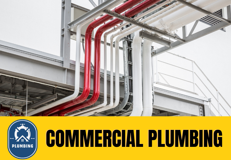 commercial plumbing Ashford