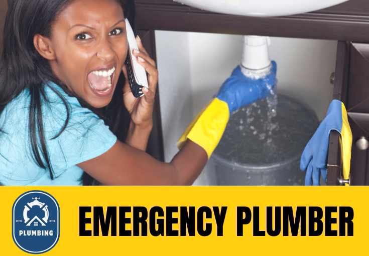 emergency plumber Ashford