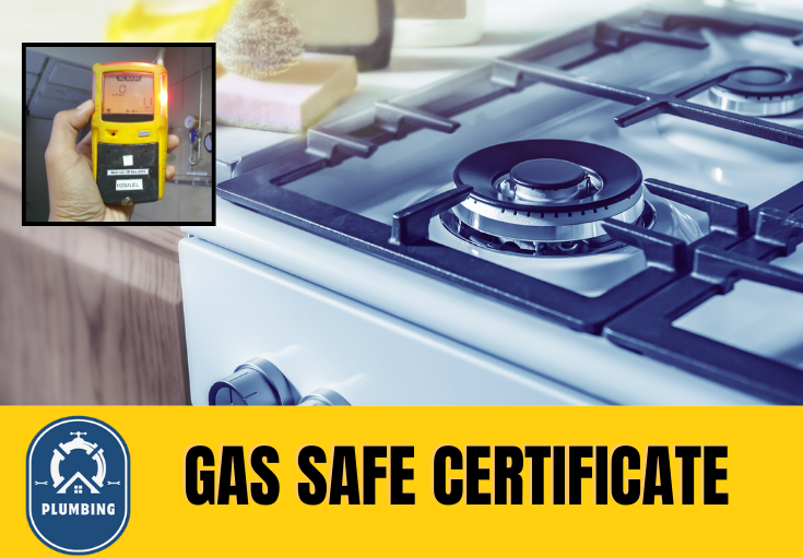gas safe certificate Ashford