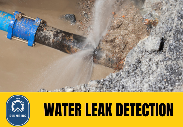 leak detection Ashford