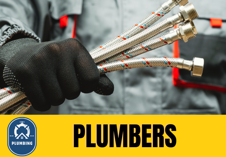  plumber South Ashford